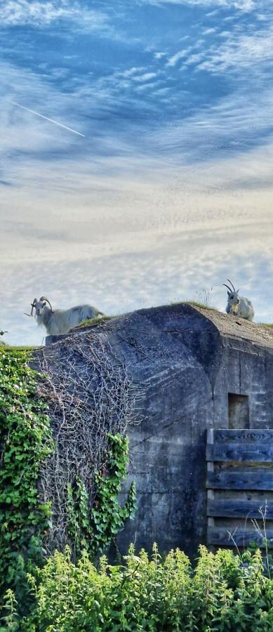 Vakantiehuis De Bunker Julianadorp Luaran gambar